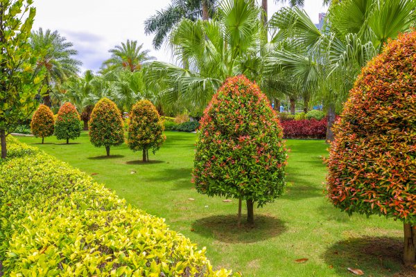 海上花园是哪个城市