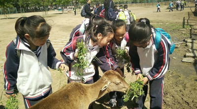 实践作业是什么意思 小学生进行实践作业的注意事项