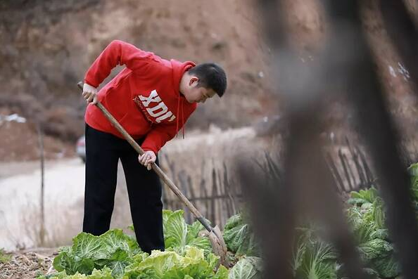 实践作业是什么意思