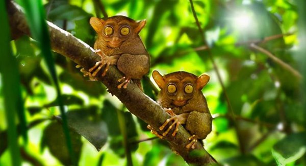 philippines是哪国家简写