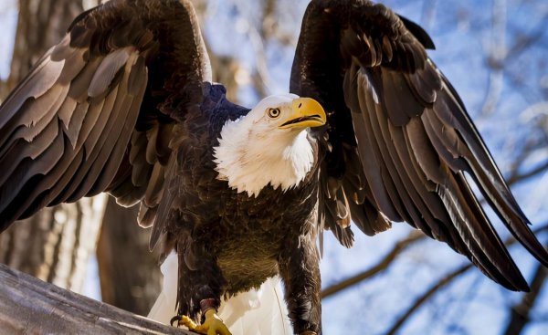 philippines是哪国家简写
