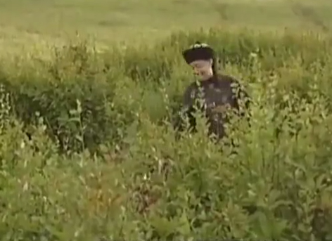 一生必看经典历史剧