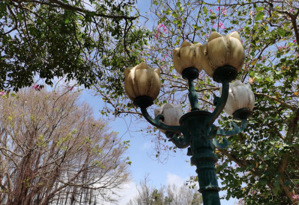 荣耀x10参数配置