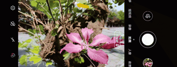 荣耀x10参数配置