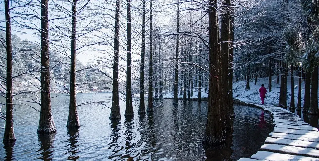 中国11个适合冬季旅游的地方