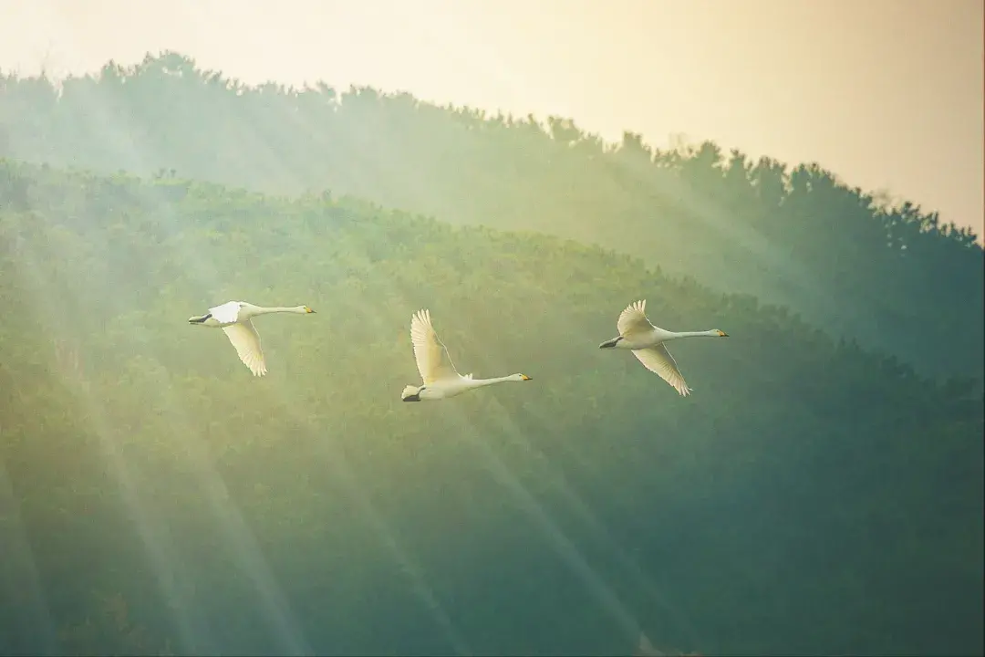 中国11个适合冬季旅游的地方