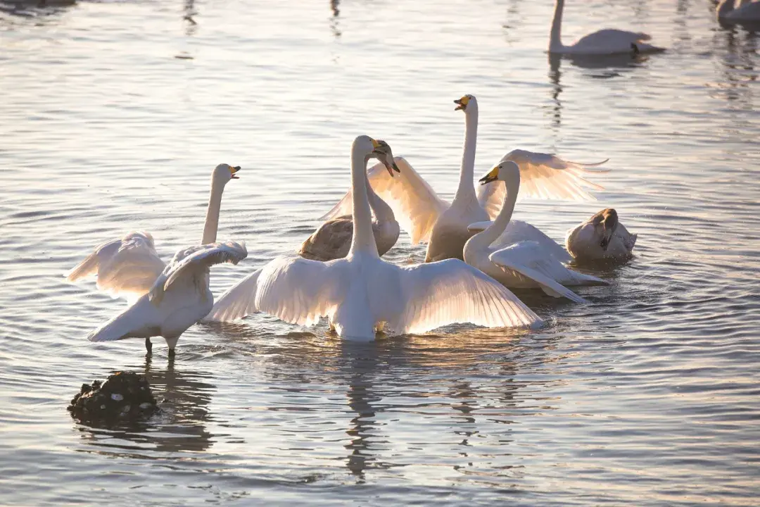 中国11个适合冬季旅游的地方