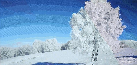 中国11个适合冬季旅游的地方