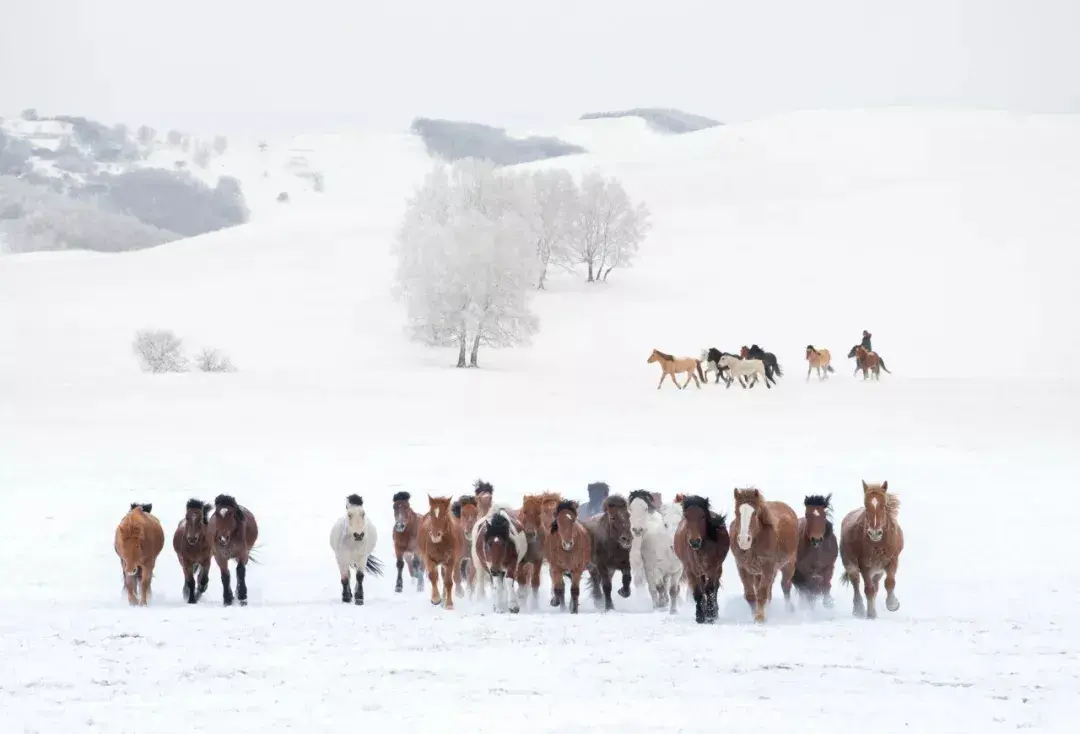 中国11个适合冬季旅游的地方