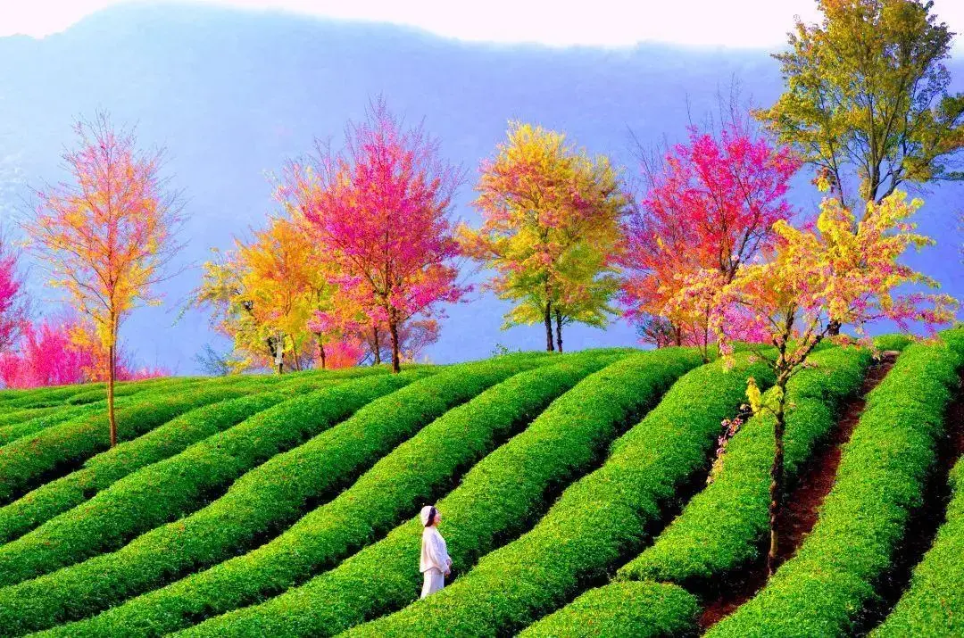 中国11个适合冬季旅游的地方