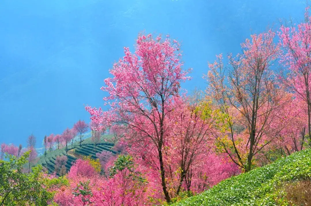 中国11个适合冬季旅游的地方