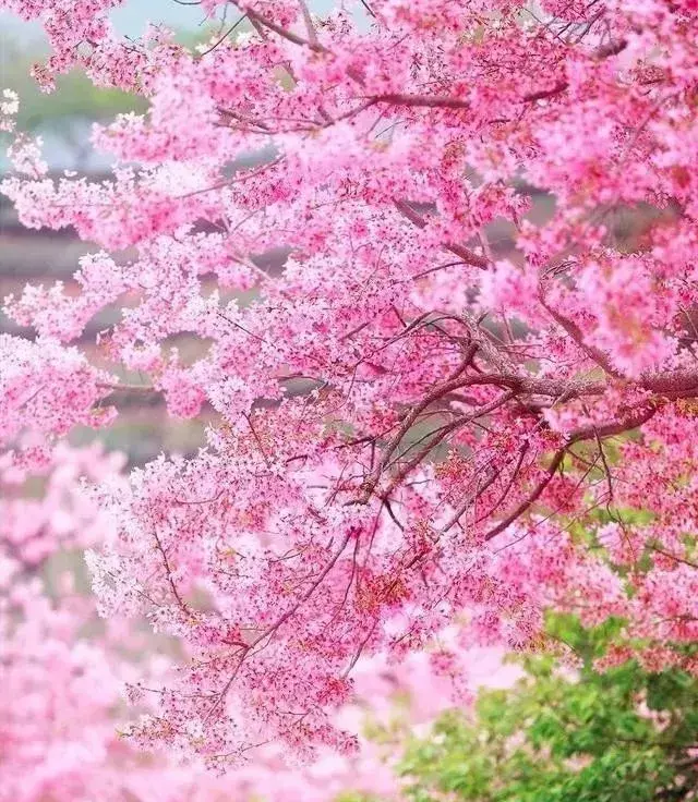 中国11个适合冬季旅游的地方