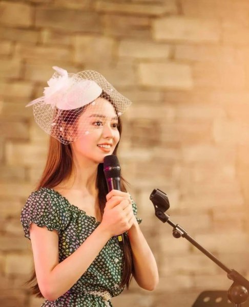 吉娜个人资料简介