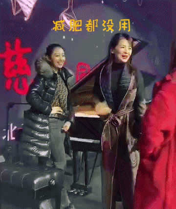 吉娜个人资料简介