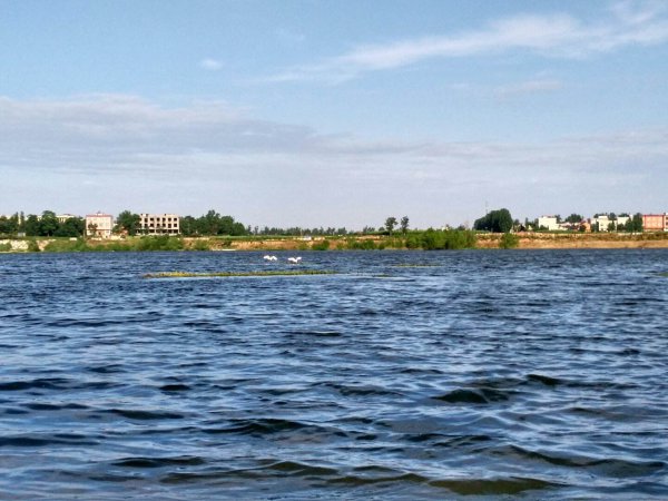 南阳是哪个省哪个市