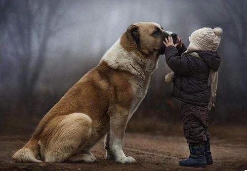 农村谚语男不养猫女不养狗的真正原因