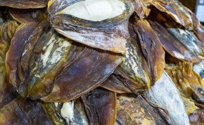 墨鱼干的正确泡发方法 墨鱼干怎么泡发能够快速泡软