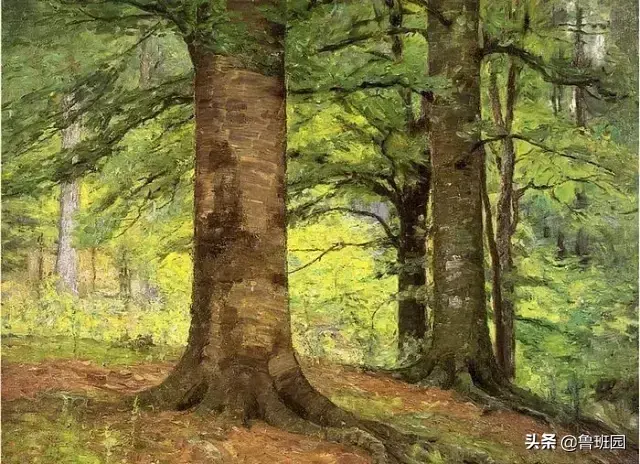 中国十大名贵树苗都有哪些