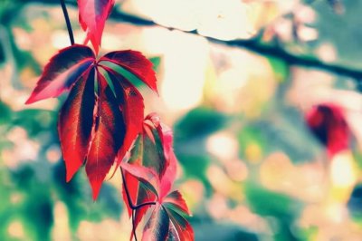 大男子主义是什么样的表现 他们有这3个明显特征