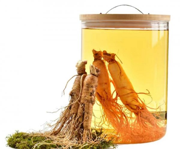 人参的主要产地在哪里