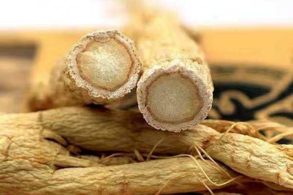 人参的主要产地在哪里