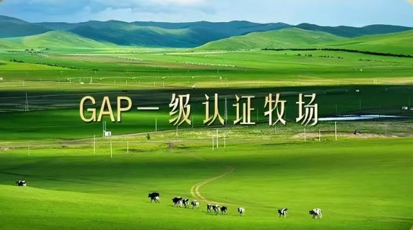 每日鲜语是哪个公司旗下的