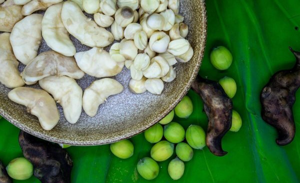 苏州水八仙是指哪八仙