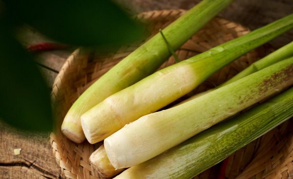 苏州水八仙是指哪八仙