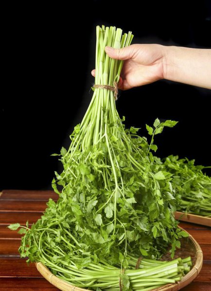 苏州水八仙是指哪八仙