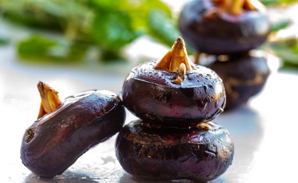 苏州水八仙是指哪八仙