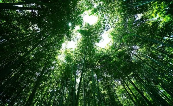 湖州市的湖指的是什么湖