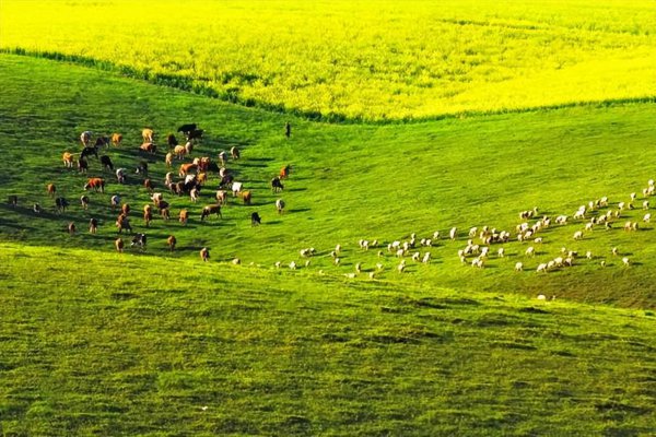 六月份适合去哪旅游国内