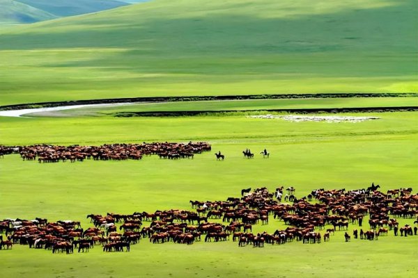 六月份适合去哪旅游国内