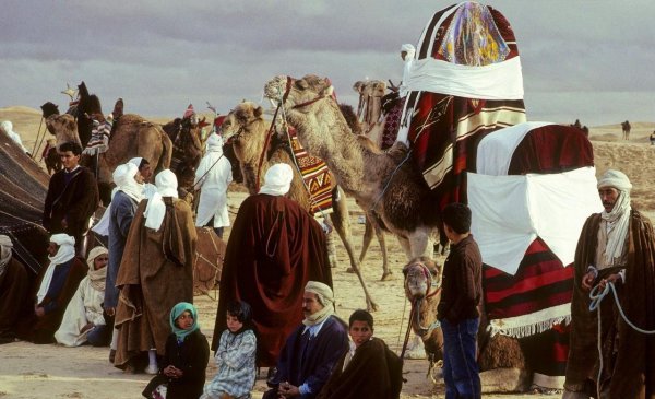 突尼斯是哪个国家