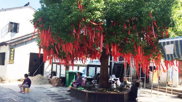 明代郑和七下西洋的起锚地是哪里