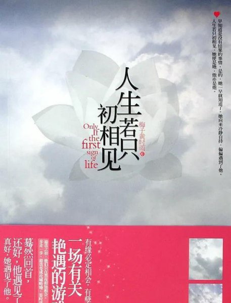 文笔超惊艳的高质量现言小说