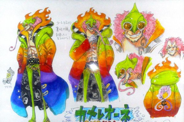 海贼王七大远古果实拥有者