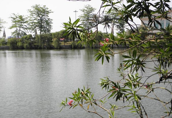 雷州是哪个省的城市