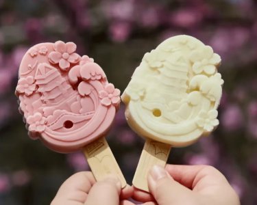 高端冰淇淋品牌排行榜 雪糕界6大知名的贵族品牌介绍