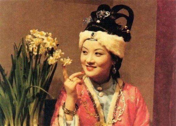 王熙凤是谁的妻子