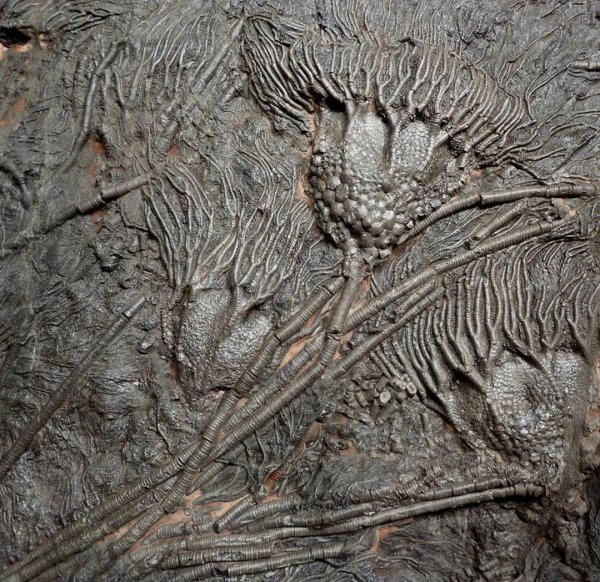 贵州省面积是多少平方公里