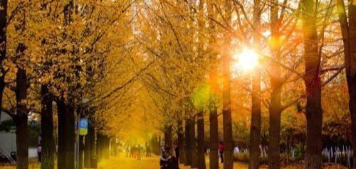 诗奴是谁的称号