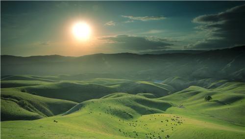 诗奴是谁的称号