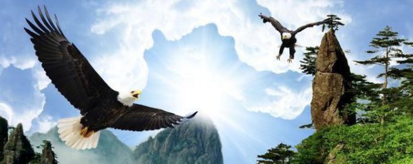 诗奴是谁的称号