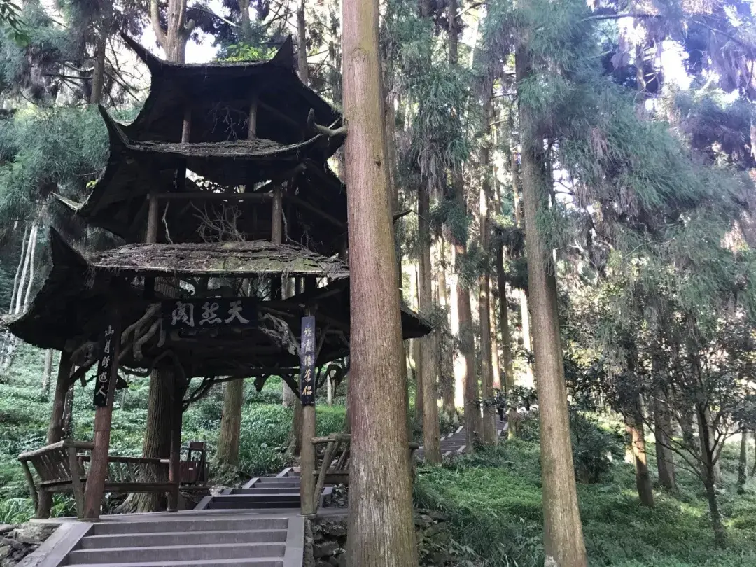 四川青城山在哪里