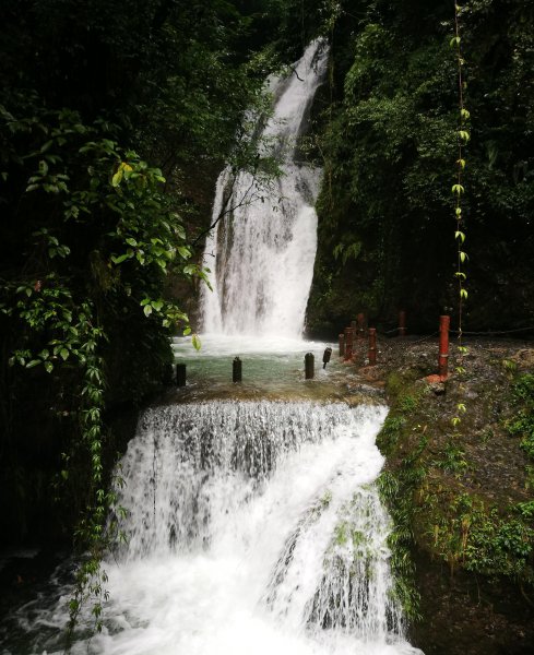 四川青城山在哪里