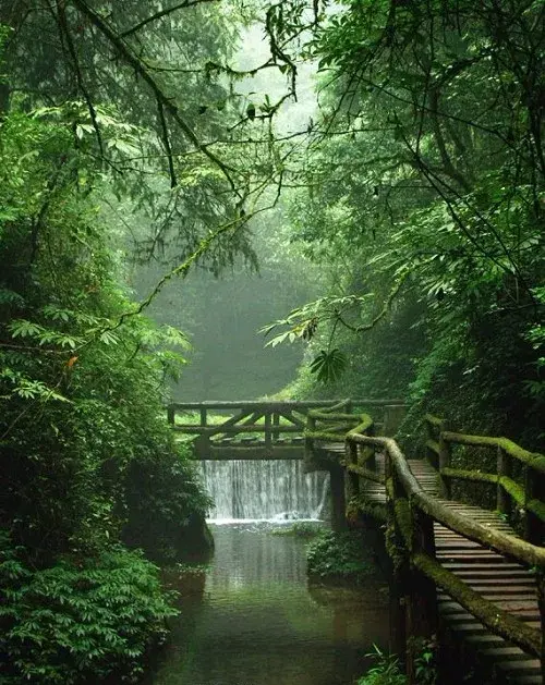 四川青城山在哪里