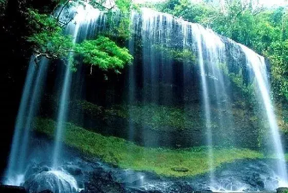 四川青城山在哪里