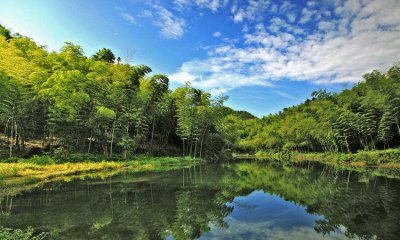 蜀南竹海在哪里 最美森林蜀南竹海的景点情况介绍