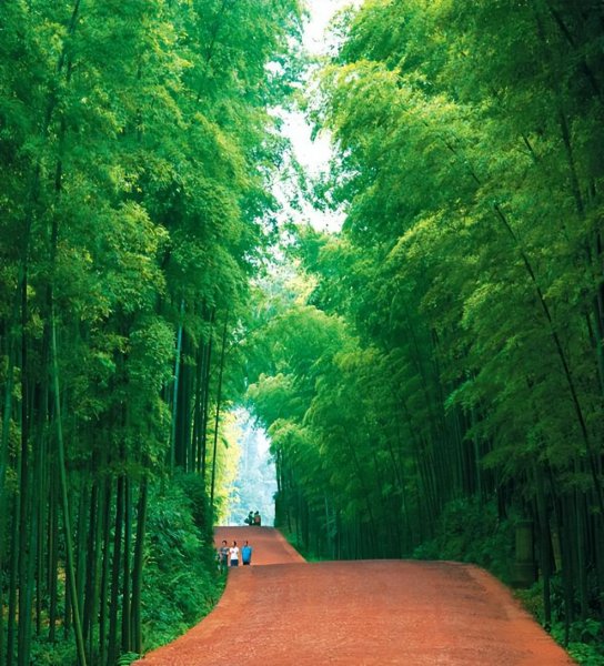 蜀南竹海在哪里